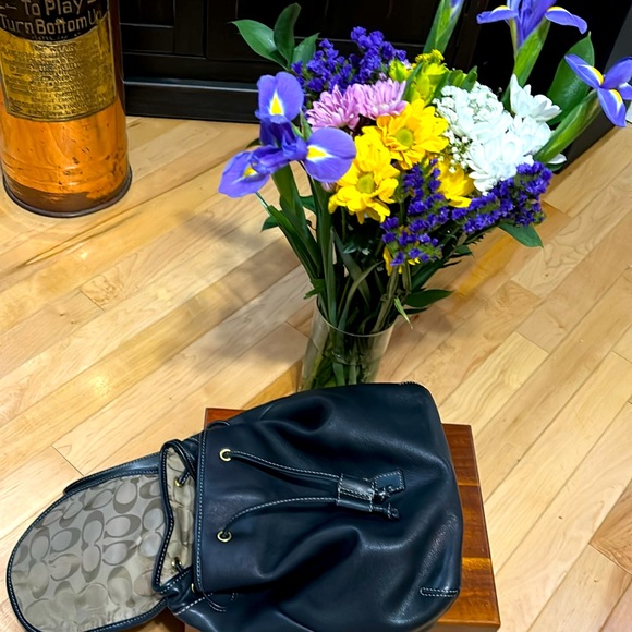 Leather Coach backpack - Picture 8 of 10